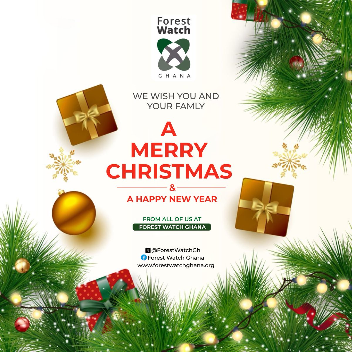 Forest Watch Ghana tweet media