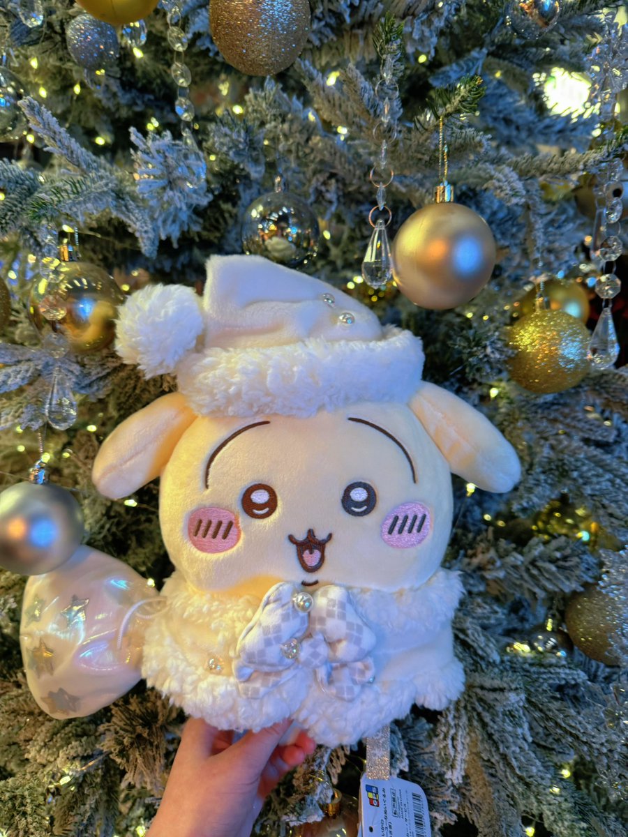 yukiko🍒Vaundy東京ドーム両日参戦 (@yukiko_zxy) / Posts / X