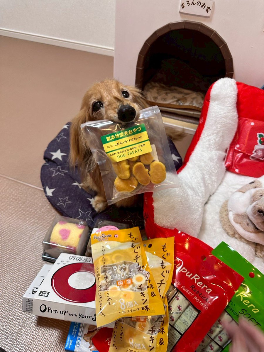 まろん🔰バイク初心者🔰 (@maron1234_) / Posts / X