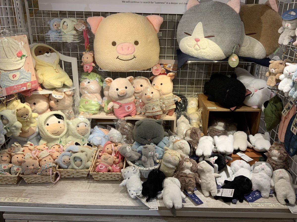 ぬいぐるみの童心【公式】🥺 (@Dousin_kawaii) / Posts / X