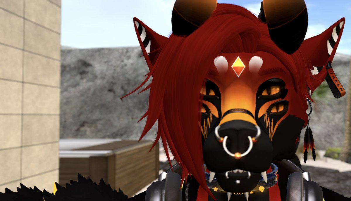 Looks at you with my 4 autistic eyes 👀👀