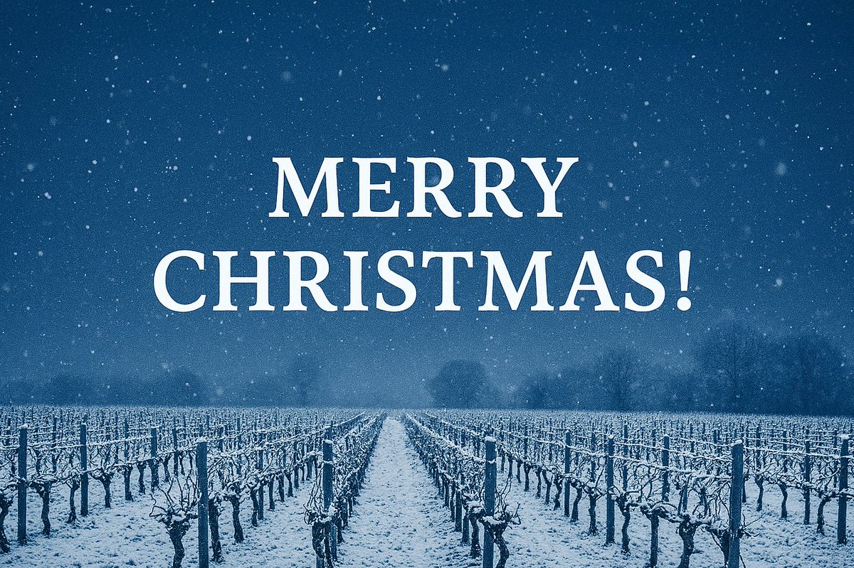 Merry Christmas from all of us at Warden Abbey Vineyard!

Thank you to all of our vineyard volunteers, members, customers and supporters for being a part of the vineyard family - we couldn't do it without you 💙

Here's to 2026! 🥂🍇

#Christmas #MerryChristmas #WardenAbbey