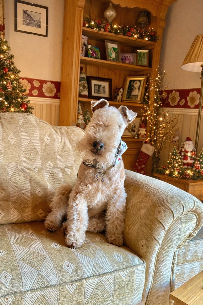 Bertie Lakeland tweet media