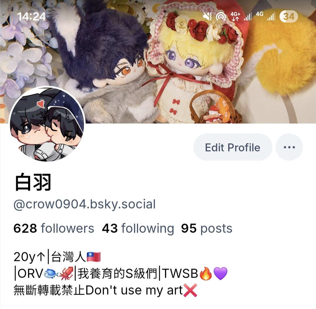 白羽💫 tweet media