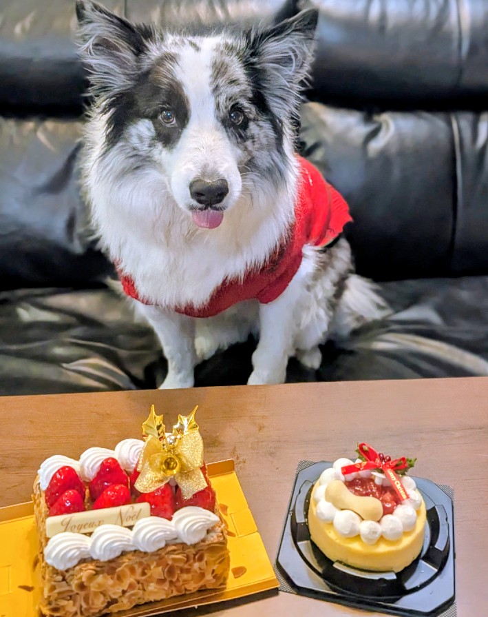 けんぼー (@kenbo_games) / Posts / X