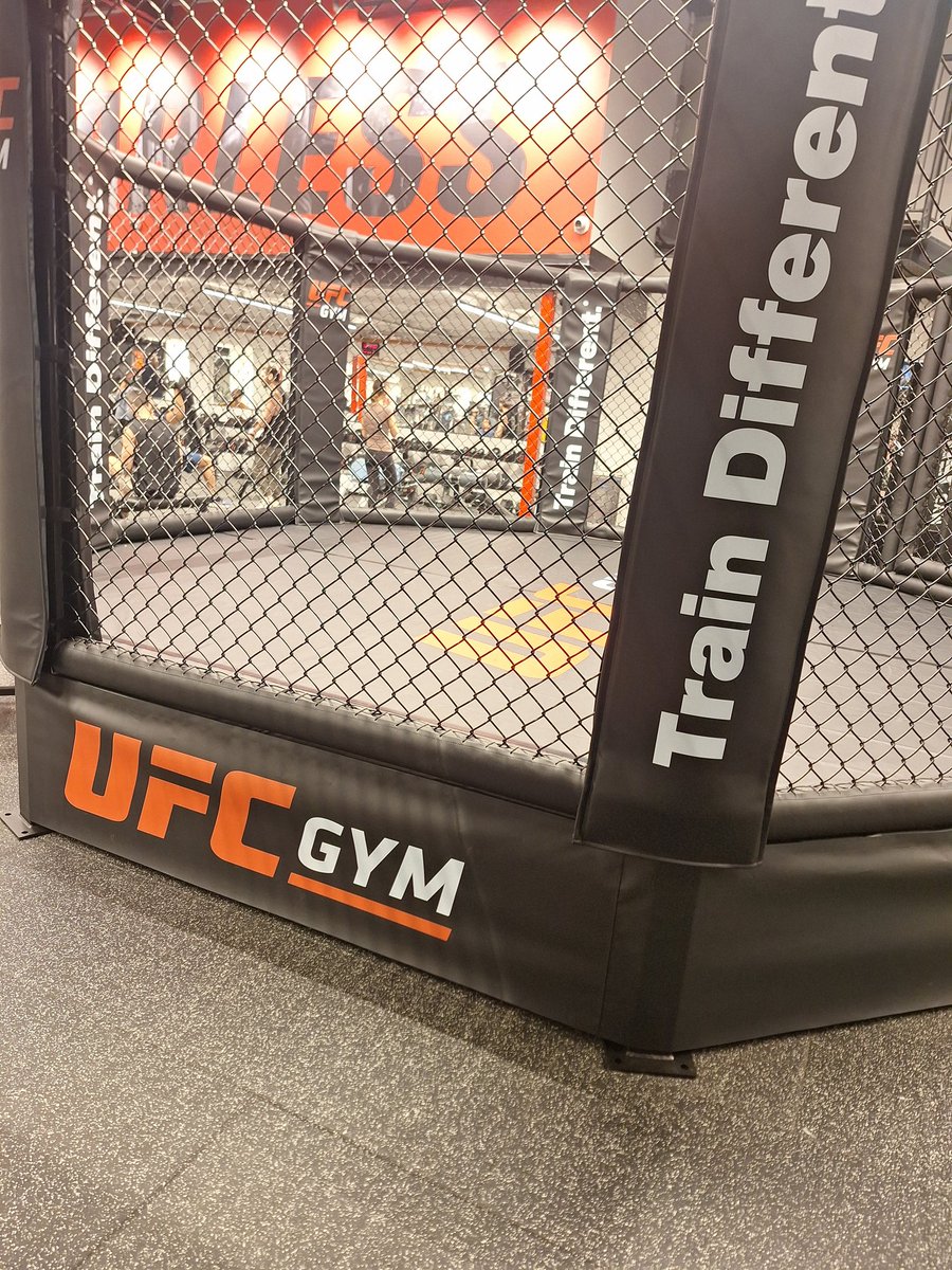 נראה לי הולכים להביא נמר לחדר כושר שלי