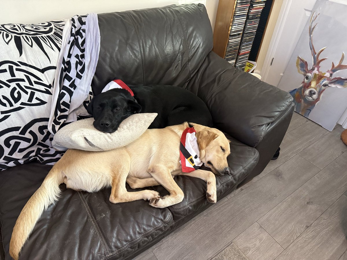 Remi and Dottie tweet media