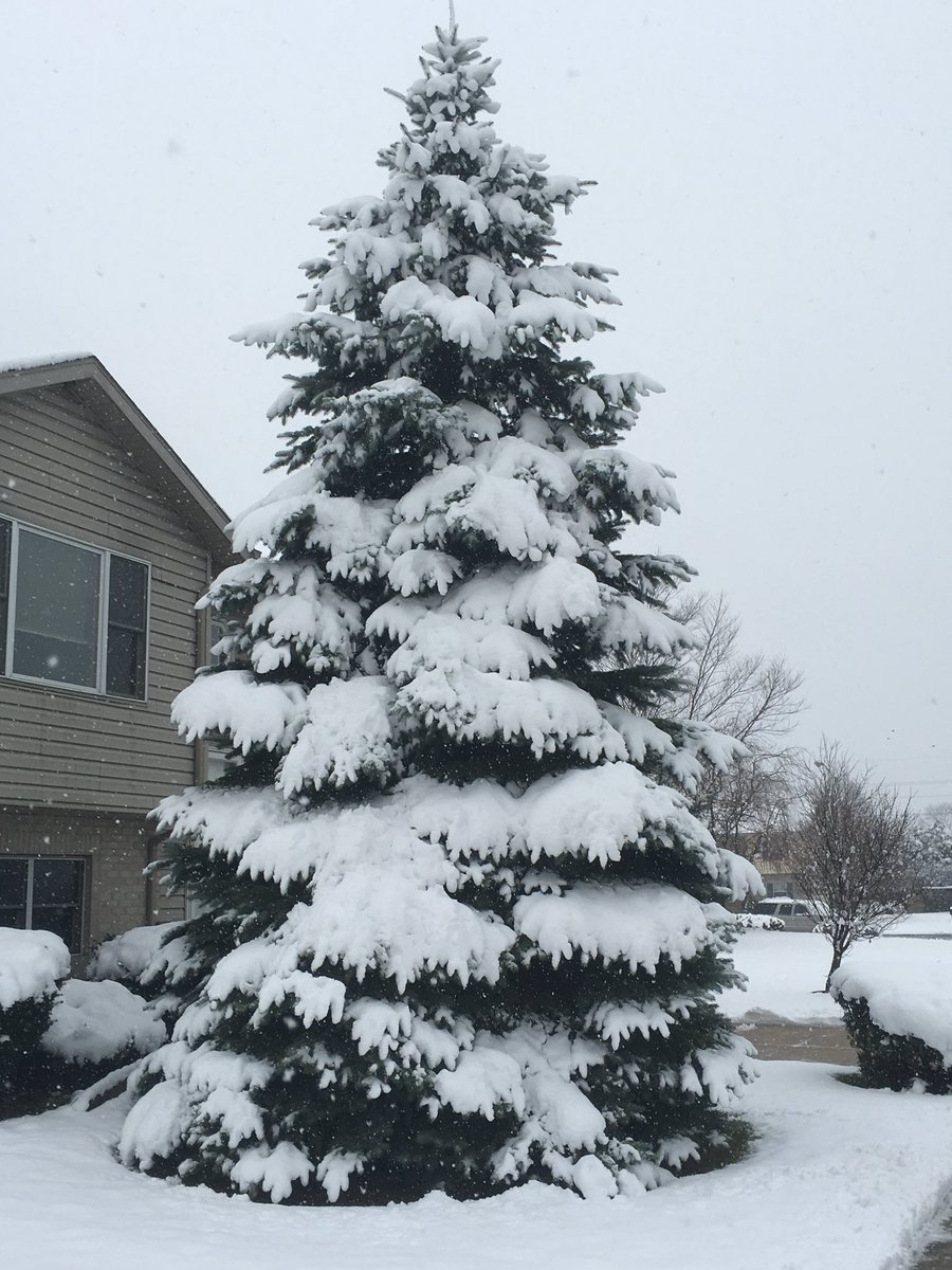internettim's tweet photo. Merry Christmas! Have a wonderful holiday season. https://t.co/2s9vHB9m9S