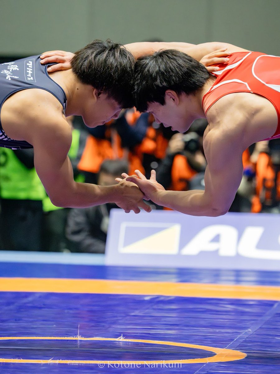 よしのすけ　🐈🐈‍⬛ tweet media