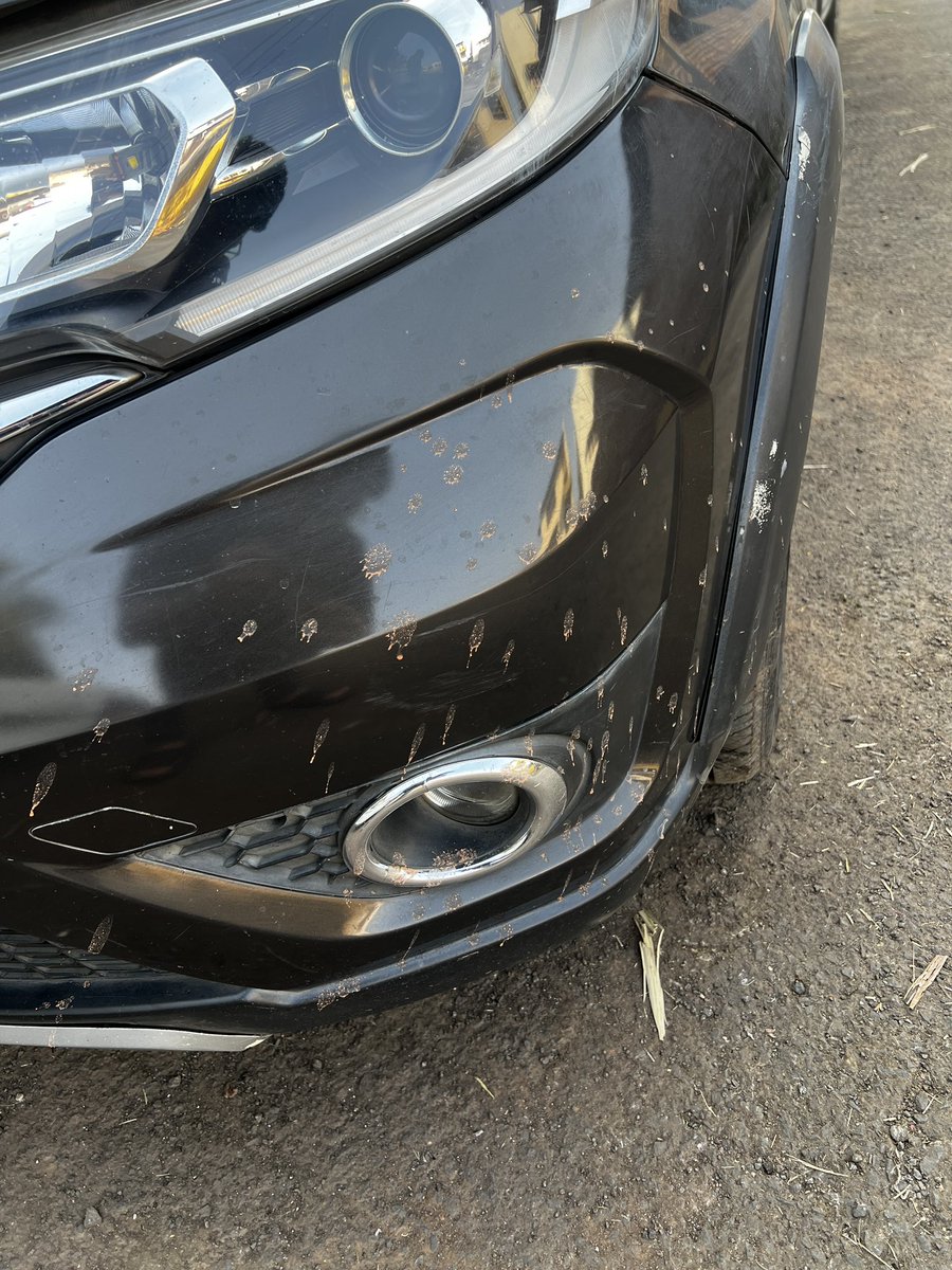 swaradchavan's tweet photo. Hi @DGPMaharashtra 

I was travelling on NH4 near karad with my family when the person from the attached photos drove very dangerously putting our lives in danger . 

Please penalise him with a fine for harsh driving and vandalism of personal property 

His car number MH11AW1315 https://t.co/li8LR23e62