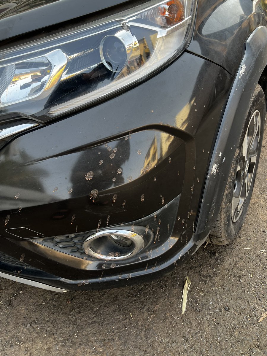 swaradchavan's tweet photo. Hi @DGPMaharashtra 

I was travelling on NH4 near karad with my family when the person from the attached photos drove very dangerously putting our lives in danger . 

Please penalise him with a fine for harsh driving and vandalism of personal property 

His car number MH11AW1315 https://t.co/li8LR23e62