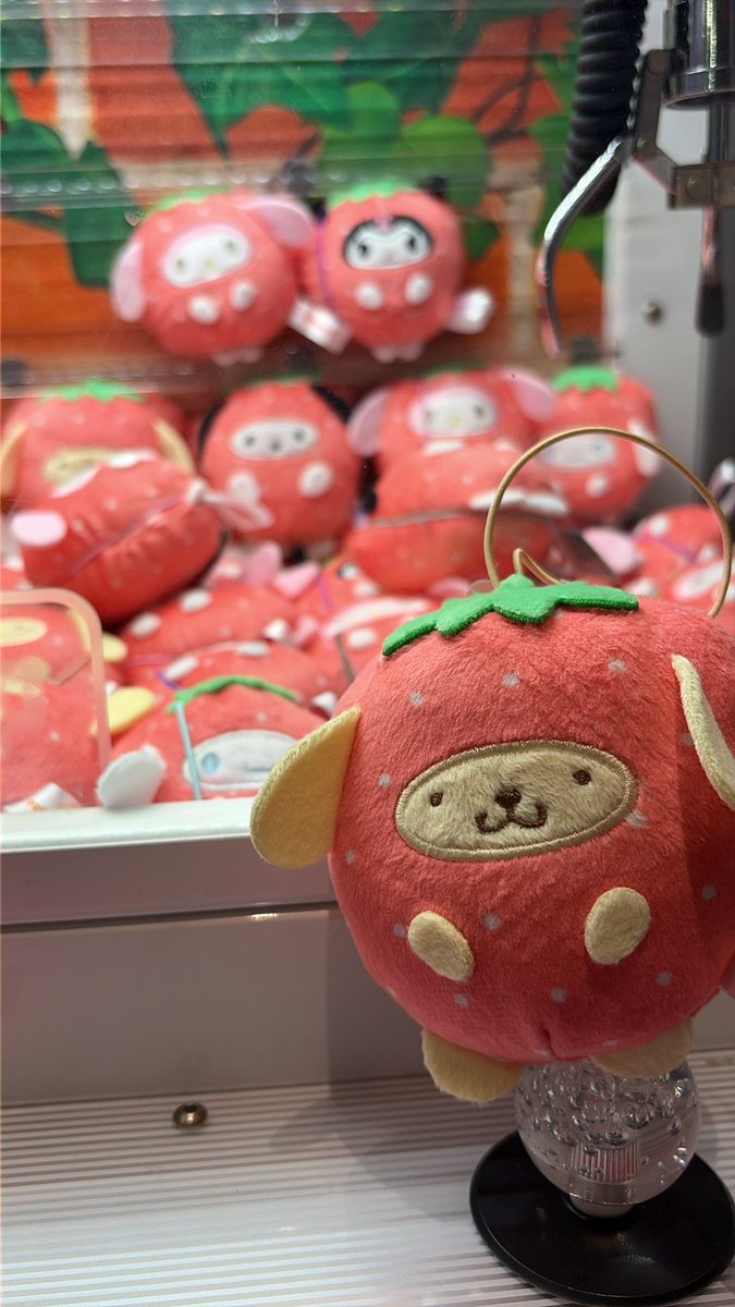 （10月VIP 15%off中） 名残月です❣0910 NxTTreasure