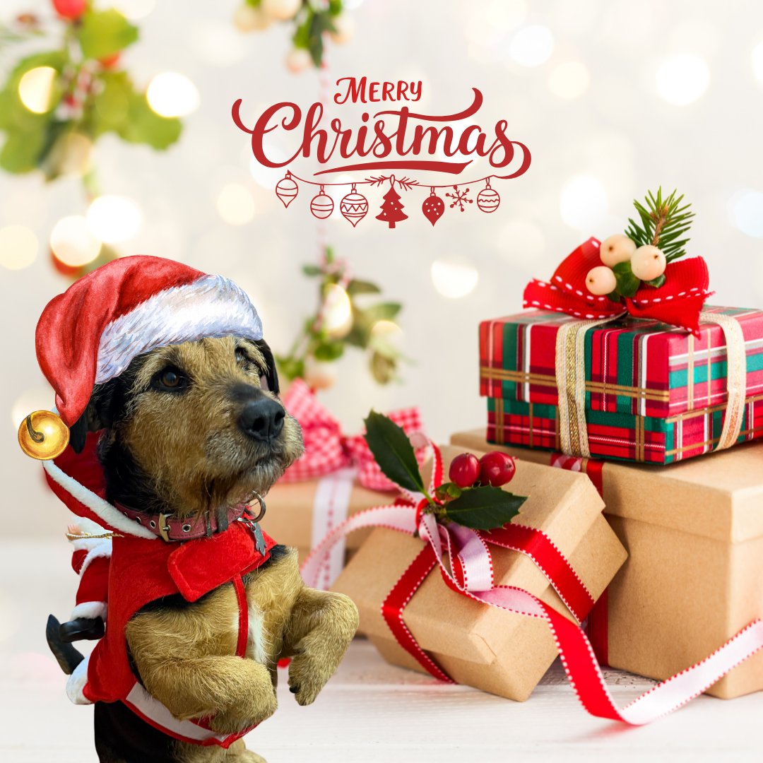 Merry Christmas from everyone at Rockett Home Rentals. 
We hope you have a great festive break and have a wonderful time with family and friends. 🎄☃️🎅

#MerryChristmas