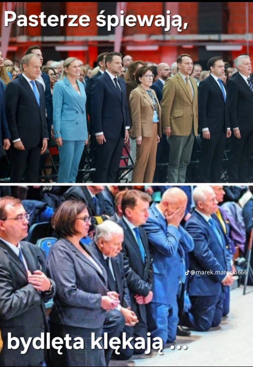 wujbob1's tweet image. Wesołych….🤣