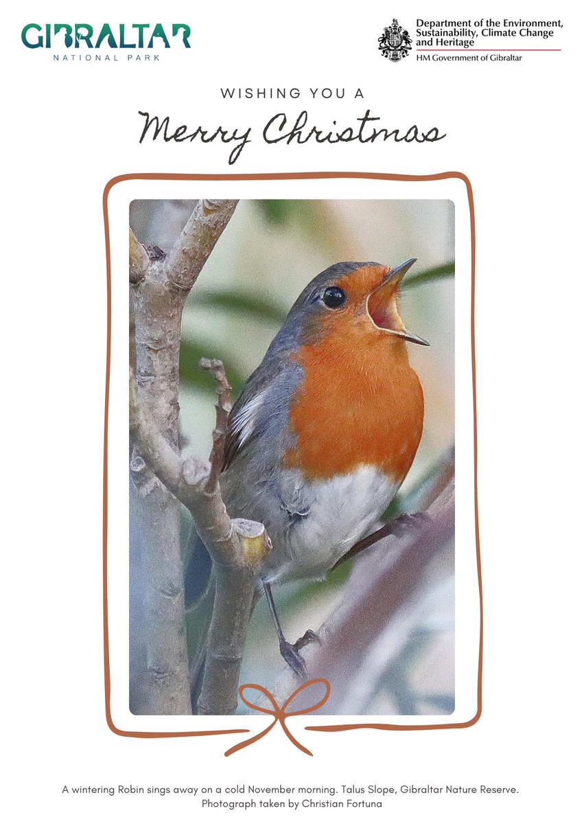 Thinking Green GI tweet media