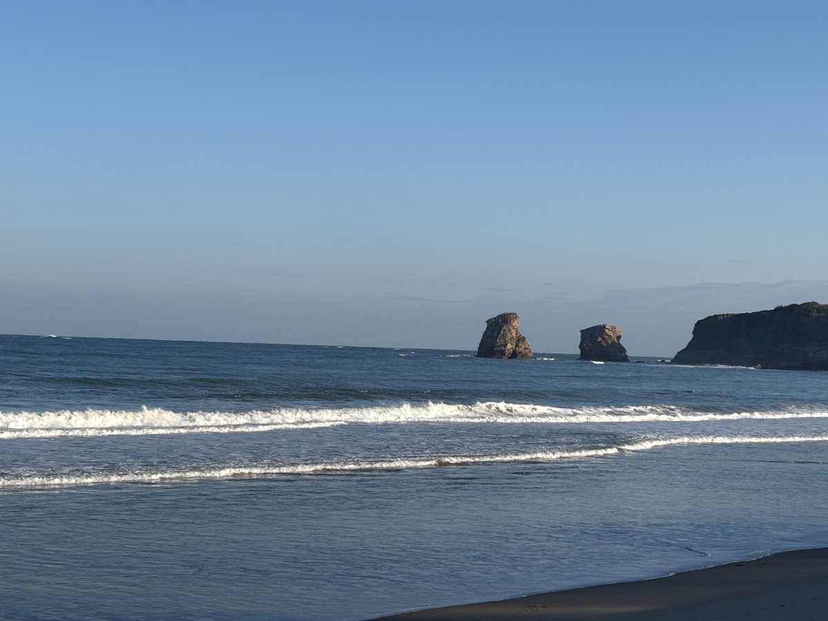 Bénédicte Durand tweet media