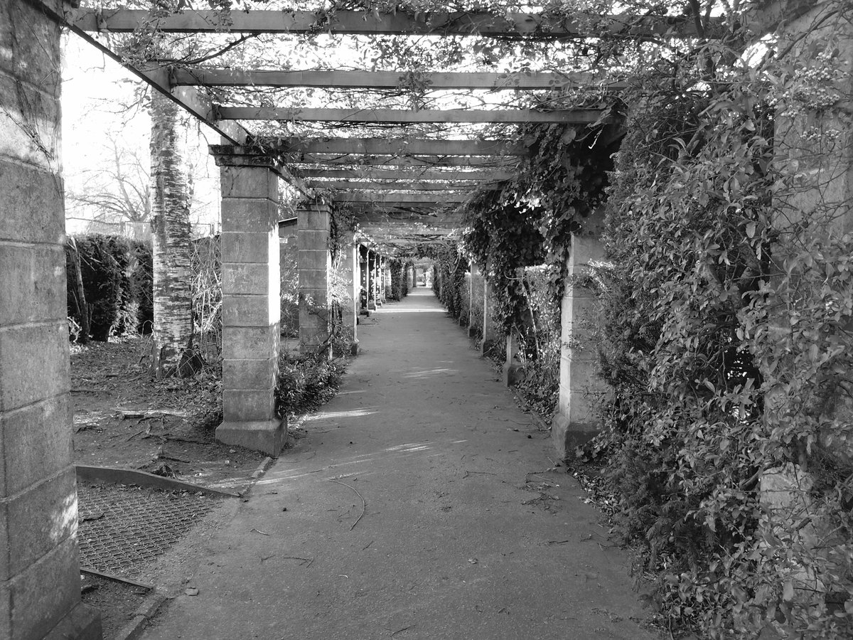 Paul Hayes tweet media