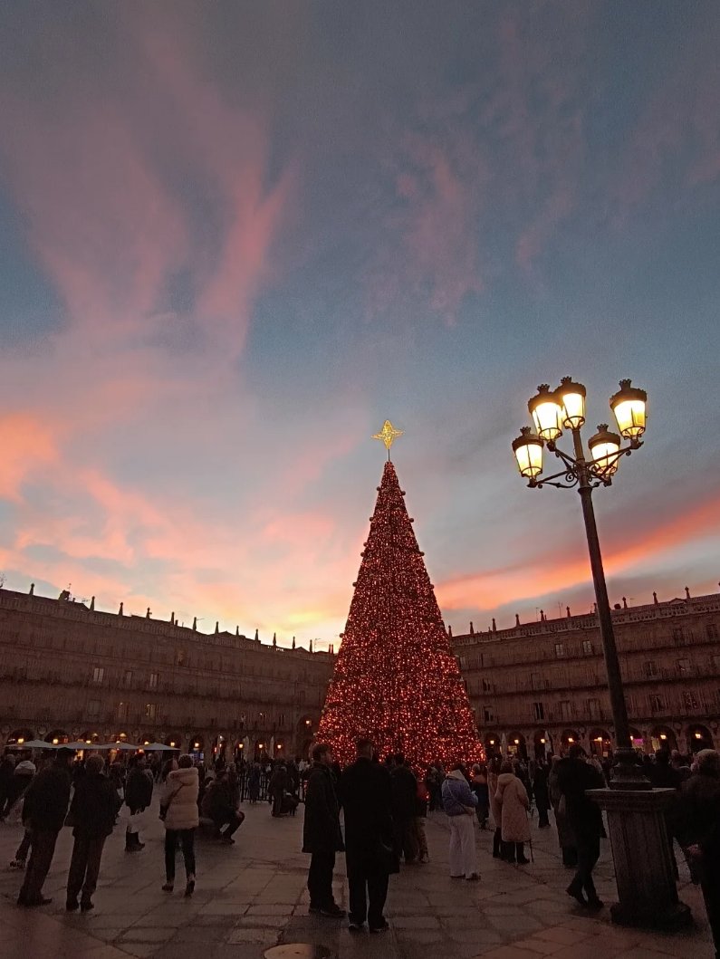 📸LA FOTOGRAFÍA| La fotografía de hoy, día de la Natividad del Señor, es de @_loli_gs. Imagen al atardecer del árbol de Navidad de la Plaza Mayor de Salamanca.

okeysalamanca.com/2025/12/25/429…