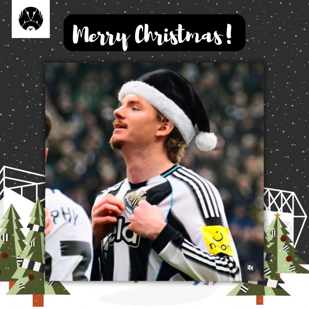 MagpieChannel_'s tweet image. Merry Christmas everyone🎄⚫️⚪️