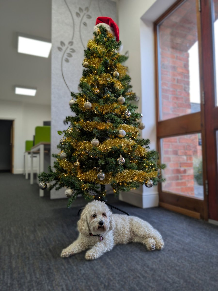 Merry Christmas from us all <a href="/confidence_it/">Confidence IT Ltd</a>

#MerryChristmas #itsupport #confidenceit