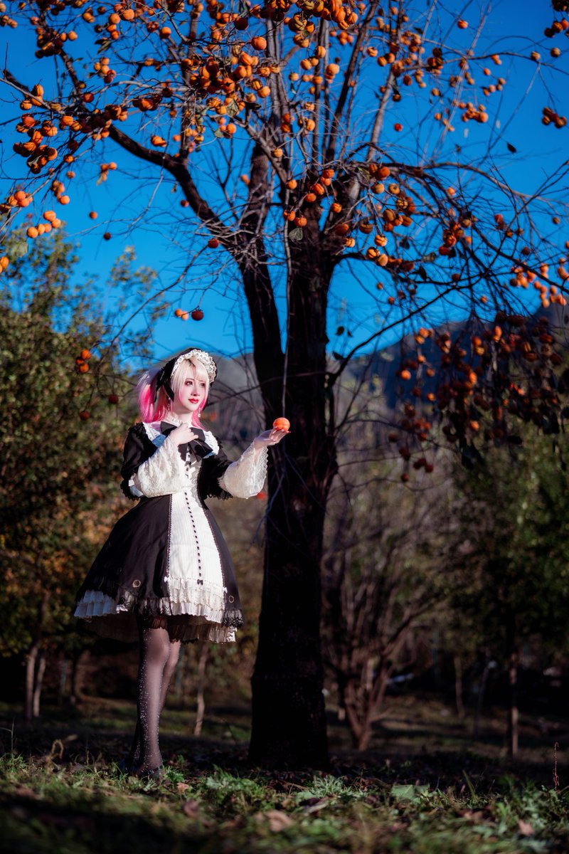 laceduvet's tweet photo. 🎁Depths of Dim Forest🎁 Part Extra 

👗: #losttree Die Zeithexe JSK Set
👠: Brigitte Hui Pumps 

📷: @roubao33

#lolitafashion #egl 
#duvetslolitafashionphotobook 
#sweetlolitafashion #sweetlolita https://t.co/0jOyngBM0t