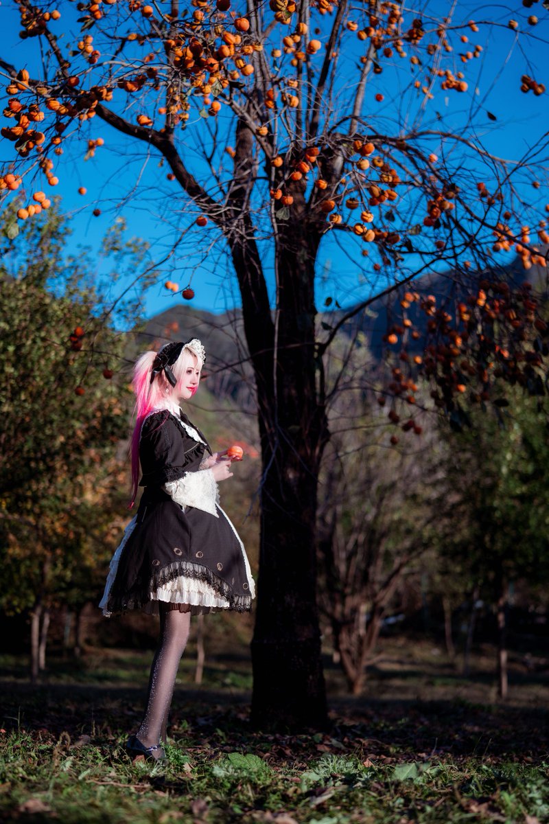 laceduvet's tweet photo. 🎁Depths of Dim Forest🎁 Part Extra 

👗: #losttree Die Zeithexe JSK Set
👠: Brigitte Hui Pumps 

📷: @roubao33

#lolitafashion #egl 
#duvetslolitafashionphotobook 
#sweetlolitafashion #sweetlolita https://t.co/0jOyngBM0t