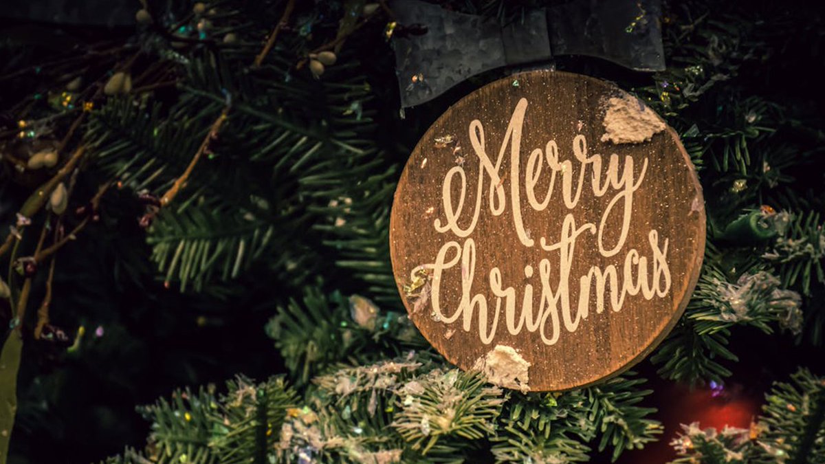 Robin Wolf | YouTuber tweet media