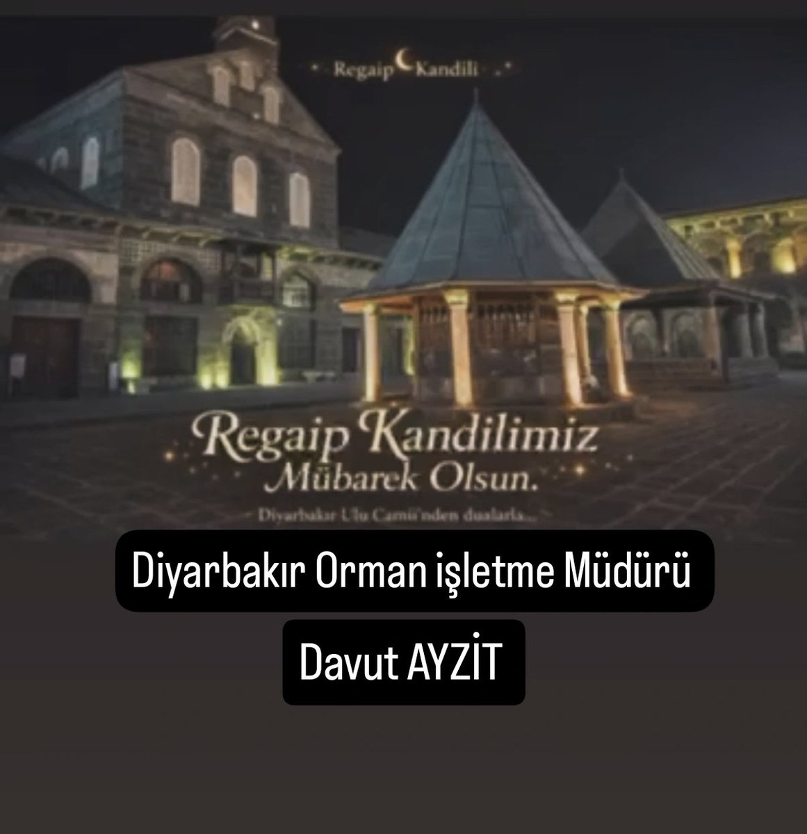 DİYARBAKIR ORMAN İŞLETME MÜDÜRLÜĞÜ (@diyarbakirorman) on Twitter photo 