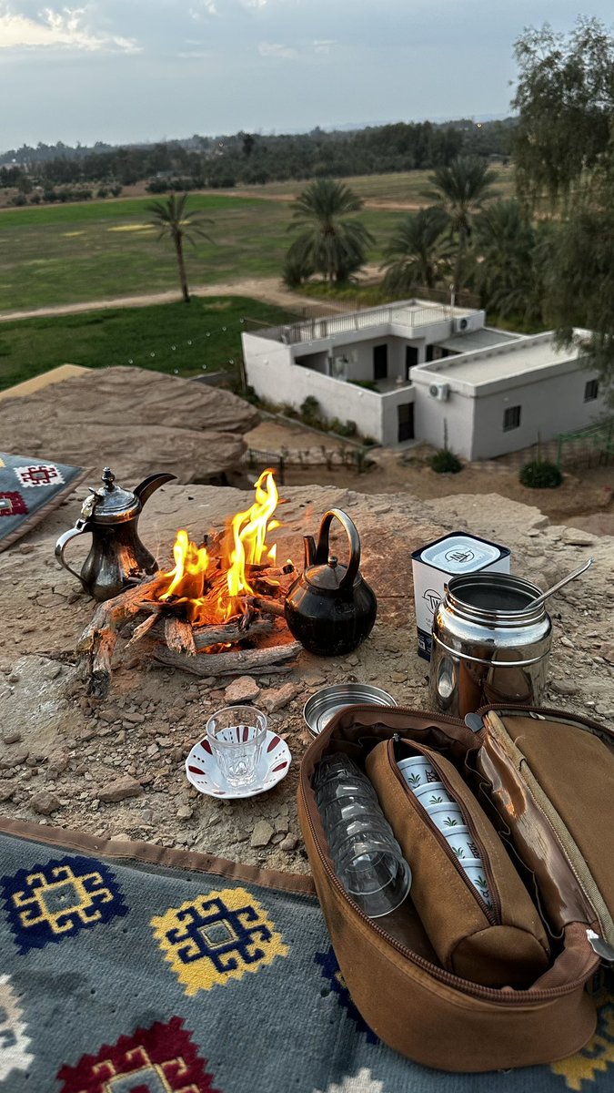 فريد المحيميس tweet media