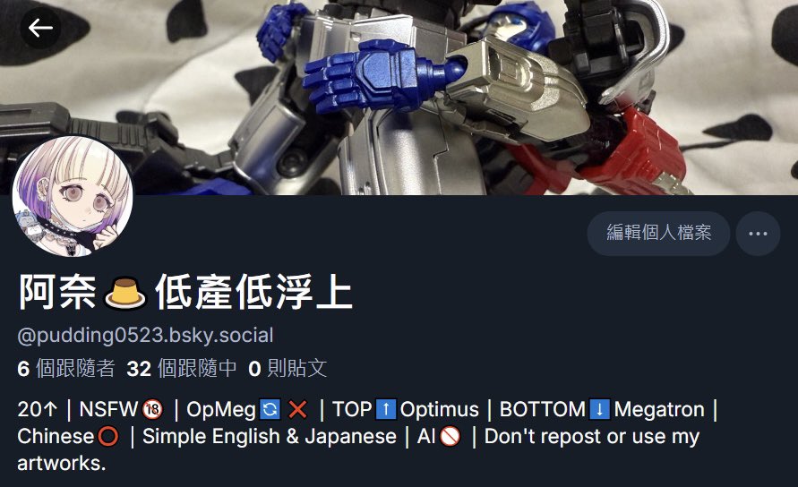 阿奈🍮低產低浮上 tweet media