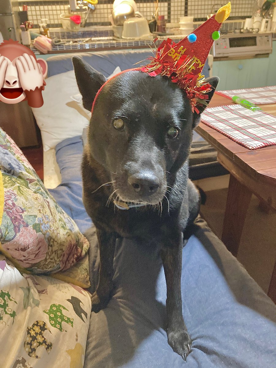 MIKΣ (@shippaiderman2) / Posts / X