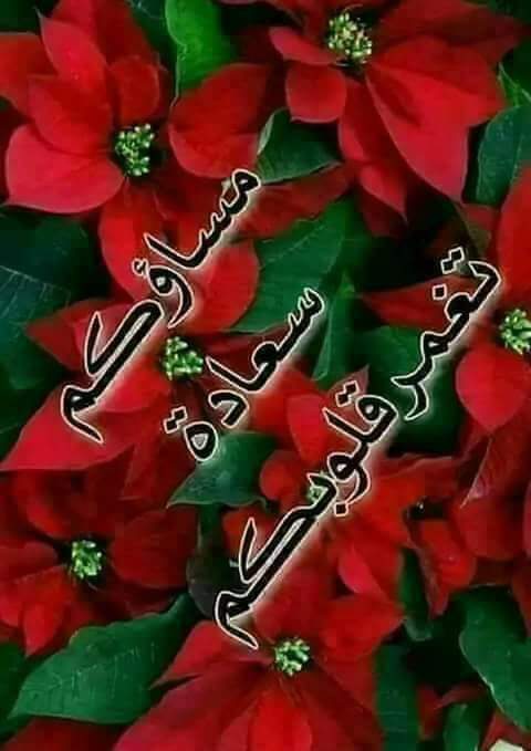 🌺 يا مسا الخير والسعاده وعطر الورد 🌺
يا مساء الهنا في طلة لقياكم 🌺 مساء العود 
وأطيابه لأهل الخير وأحبابه🌺 لمن نذكرهم 
دوم في حضورهم وغيابهم 🌺☘️❤️☘️❤️