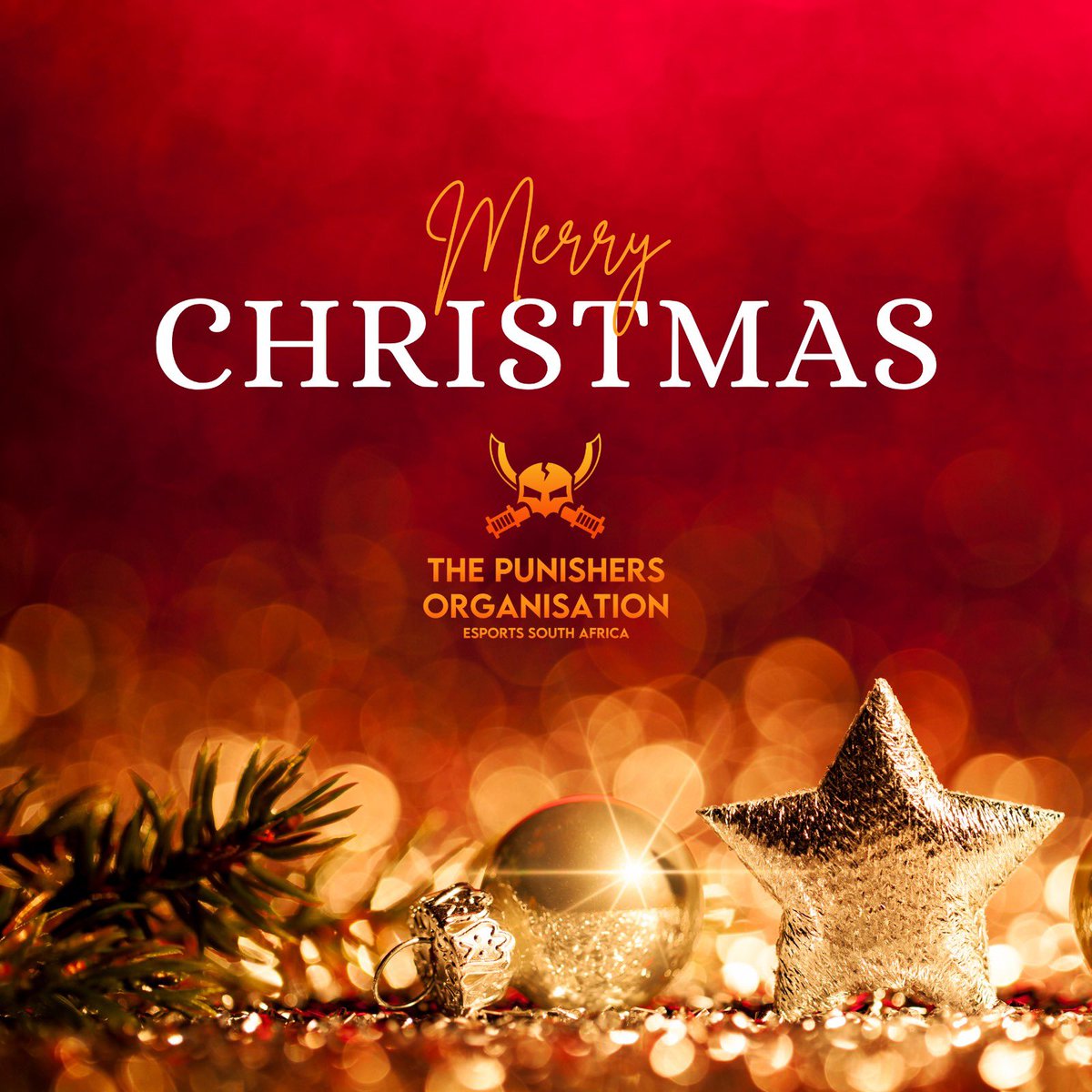 The Punishers Organisation tweet media