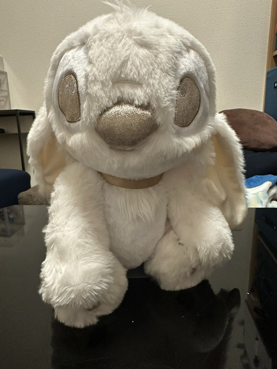 家帰ったらこの子いた🥺