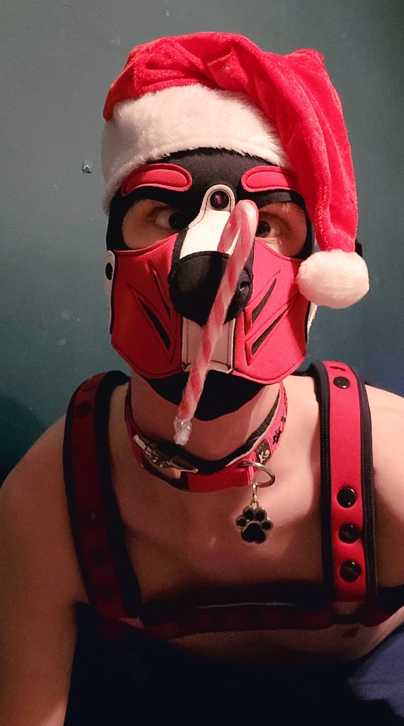 Dash 🇳🇱 tweet media