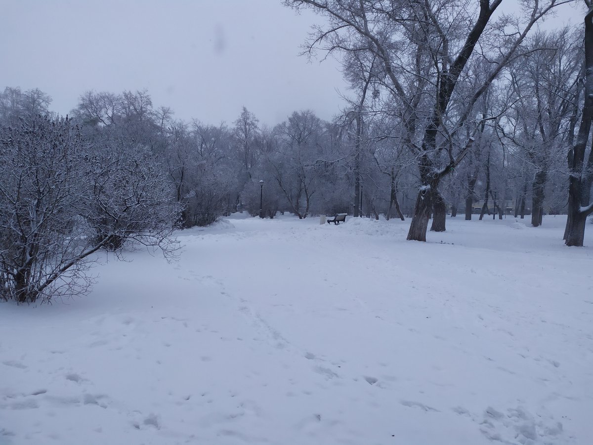 🔴 🟢 (@desuleykin) on Twitter photo 