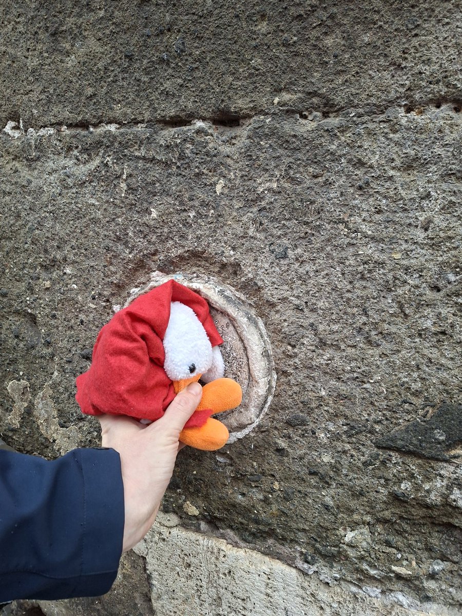 Zoss atbilst Romas Pāvesta noteiktajam maizes klaipa izmēram!👌