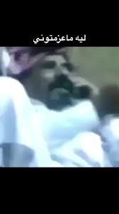 abosaif tweet media