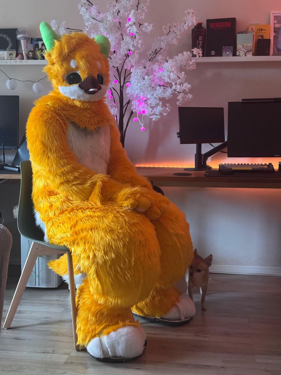 How did so many people follow me suddenly? I didnt even post a thing. Also, Merry christmas !