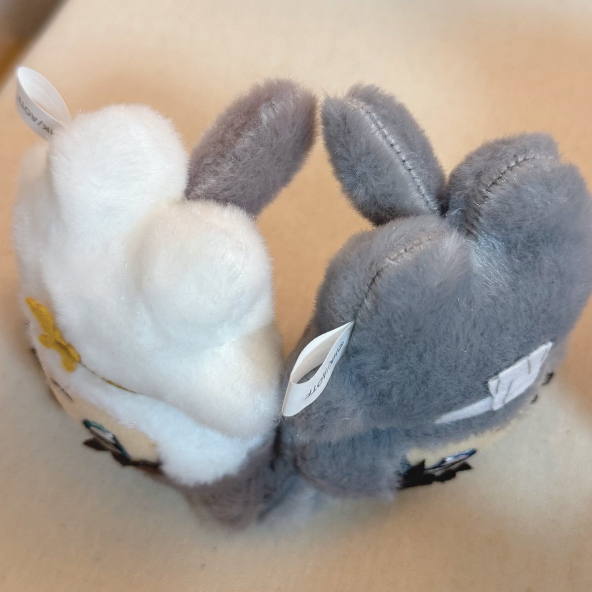 たまさん🐈 (@s_tamaLE) / Posts / X