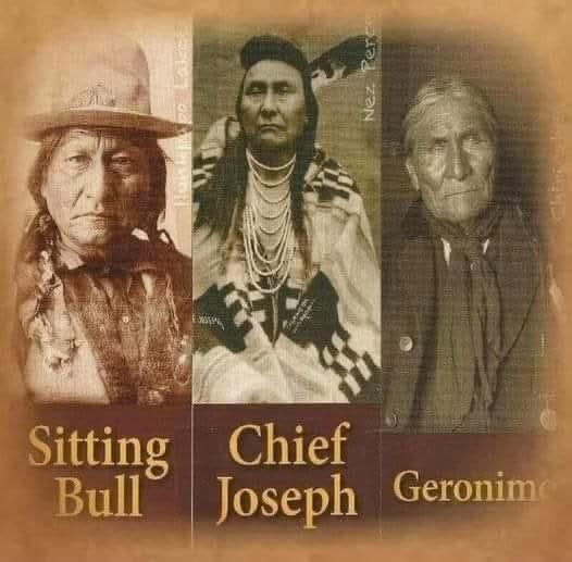 Native American tweet media