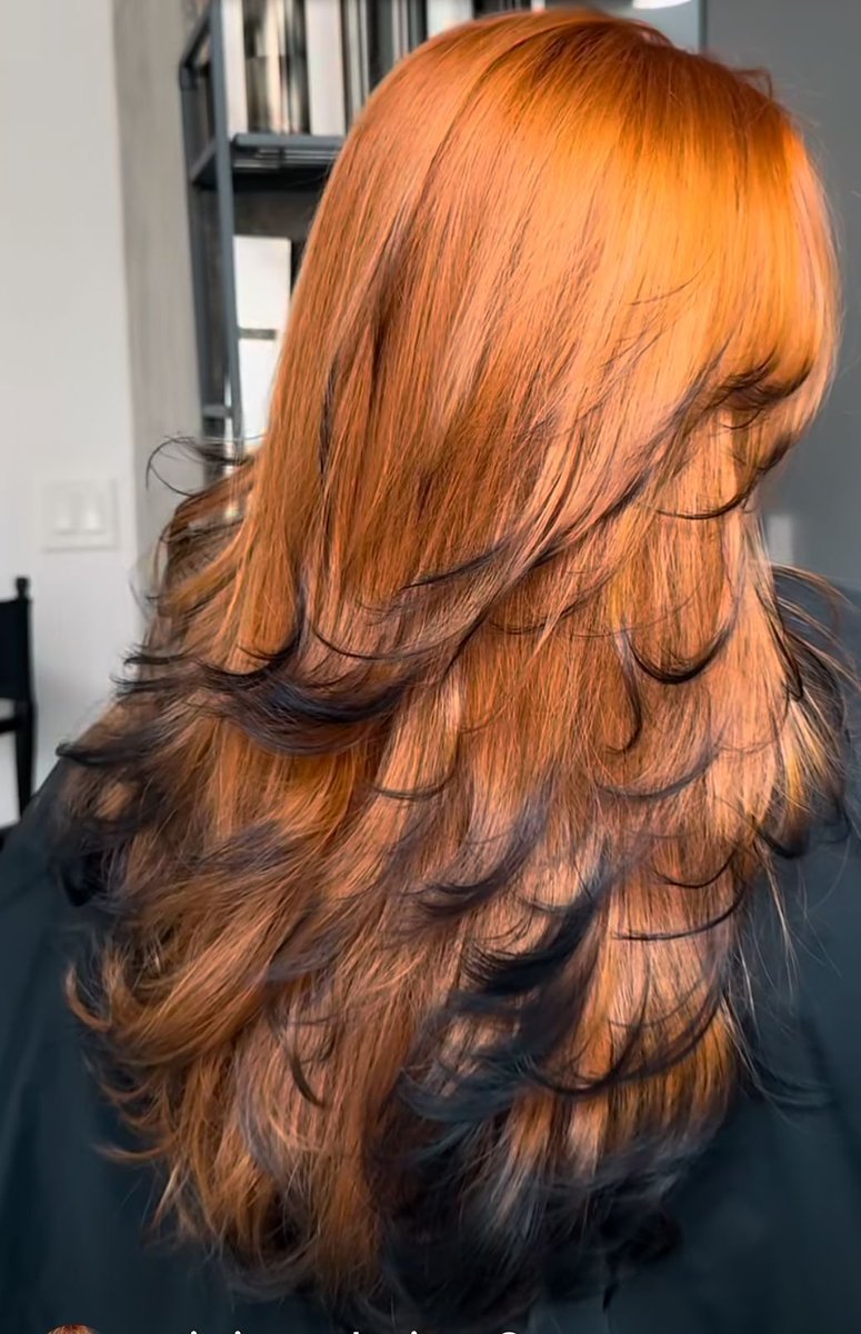 aesttics's tweet image. Fox hair 🦊