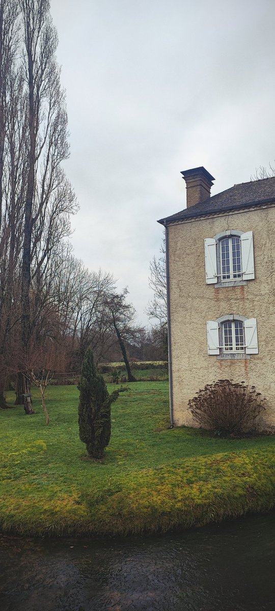 Petit run matinal à la fraîche, joyeux Noël à toutes et tous 🎄✨