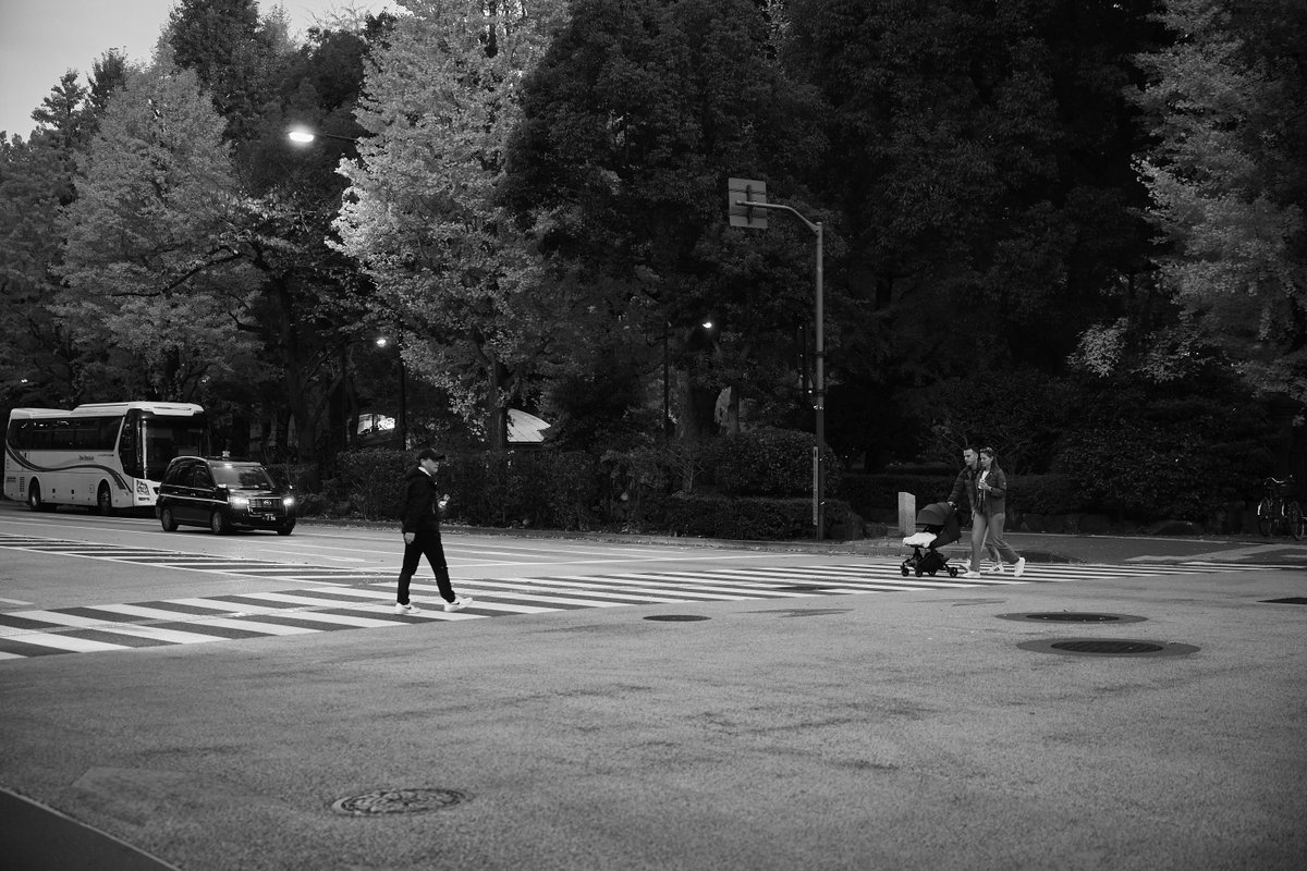 zauber2011's tweet photo. If no one is rushing you, where does your next step really point?

#StreetPhotography
#Hibiya
#CrosswalkStories
#UrbanPause
#BlackAndWhite
#EverydayTokyo
#BetweenSteps
#QuietMoments https://t.co/GSm3hDoLmr