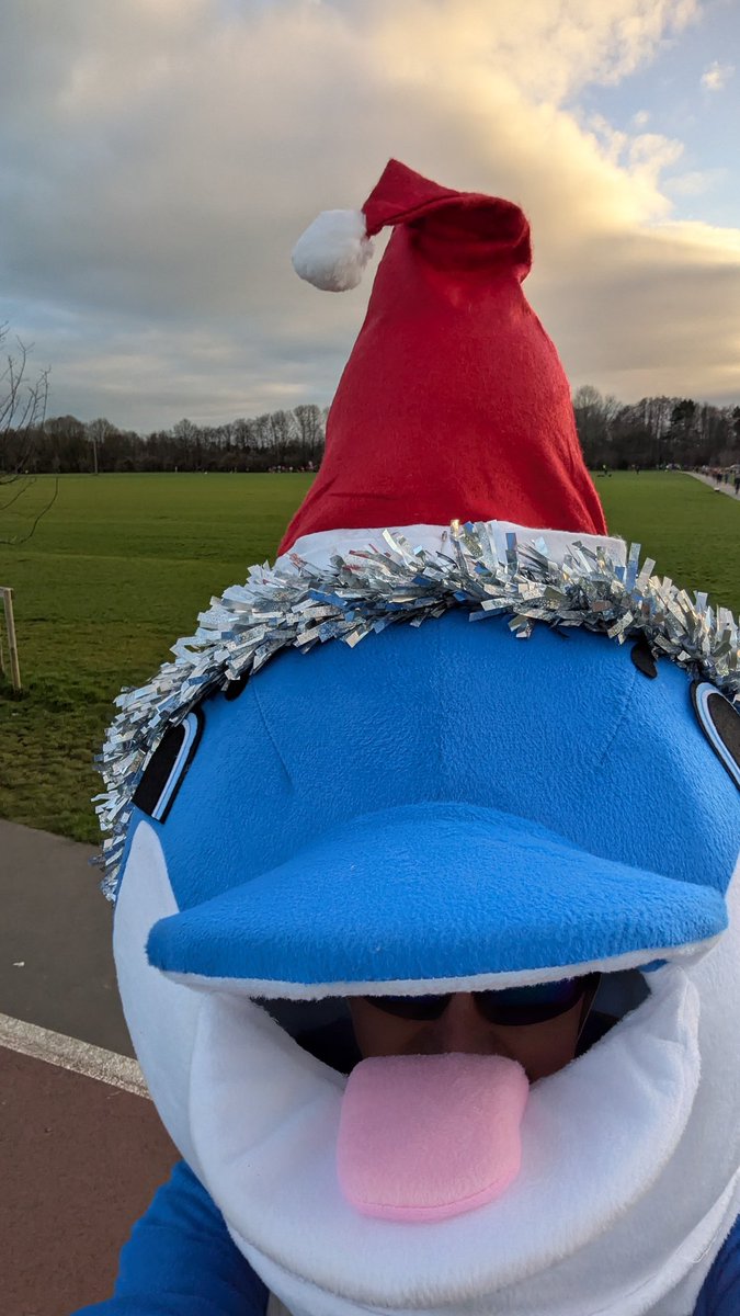 Dolphin.Runner tweet media