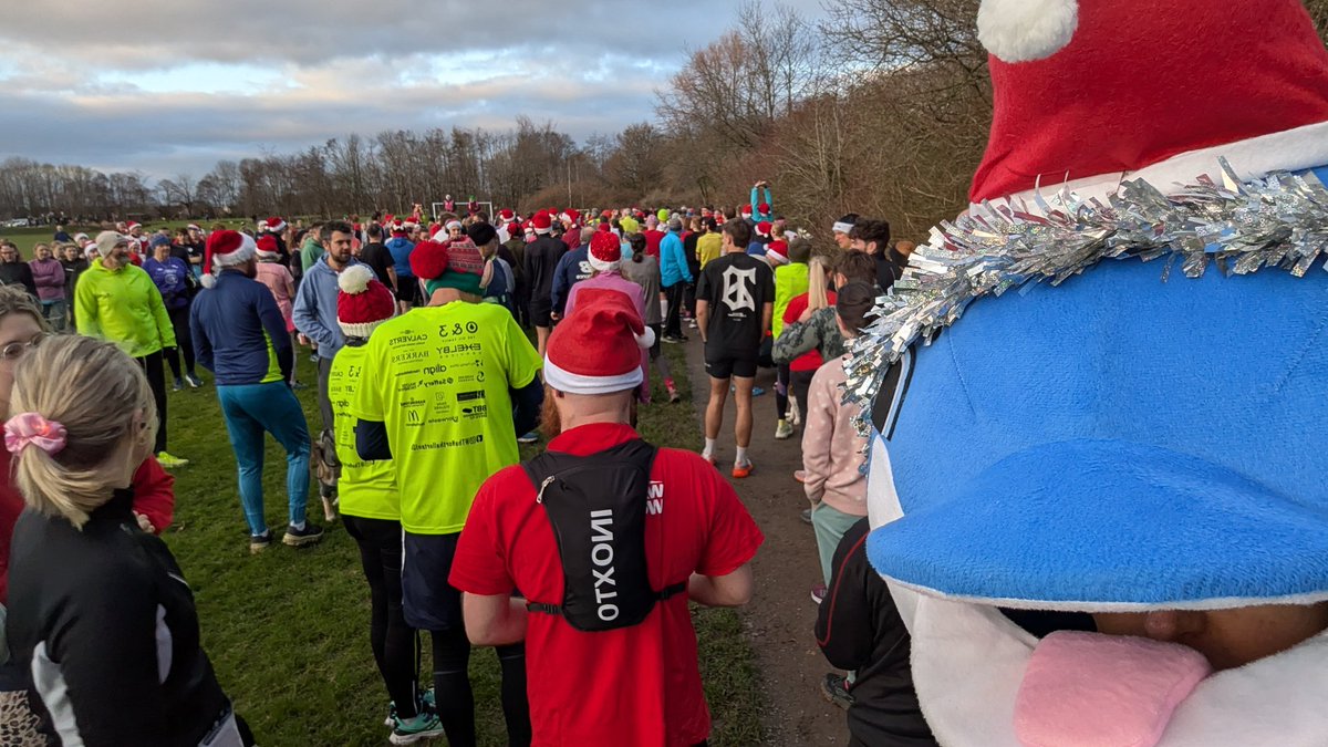 Dolphin.Runner tweet media