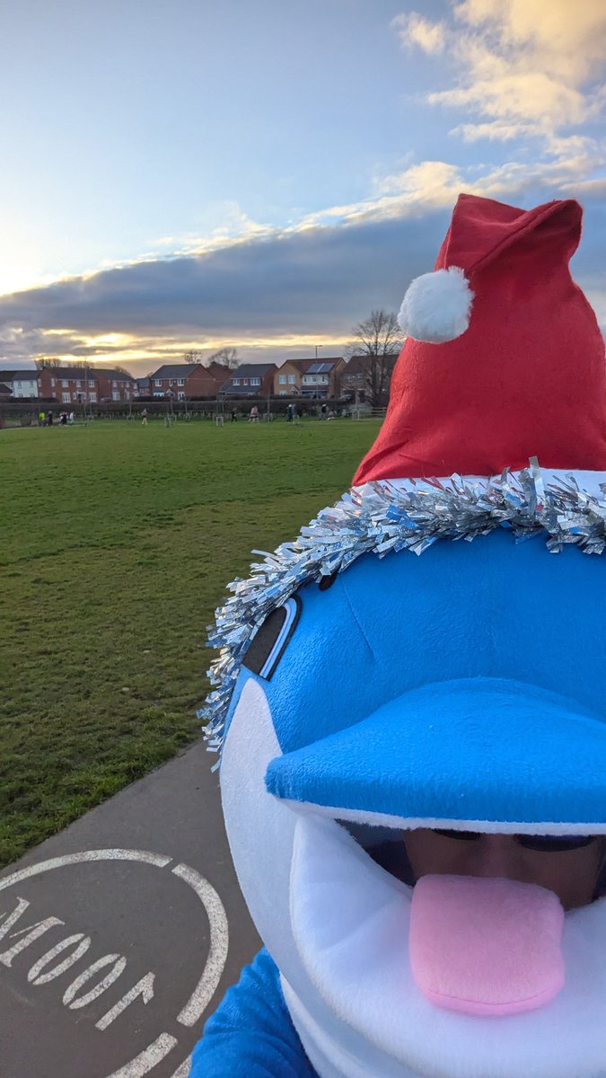 Dolphin.Runner tweet media