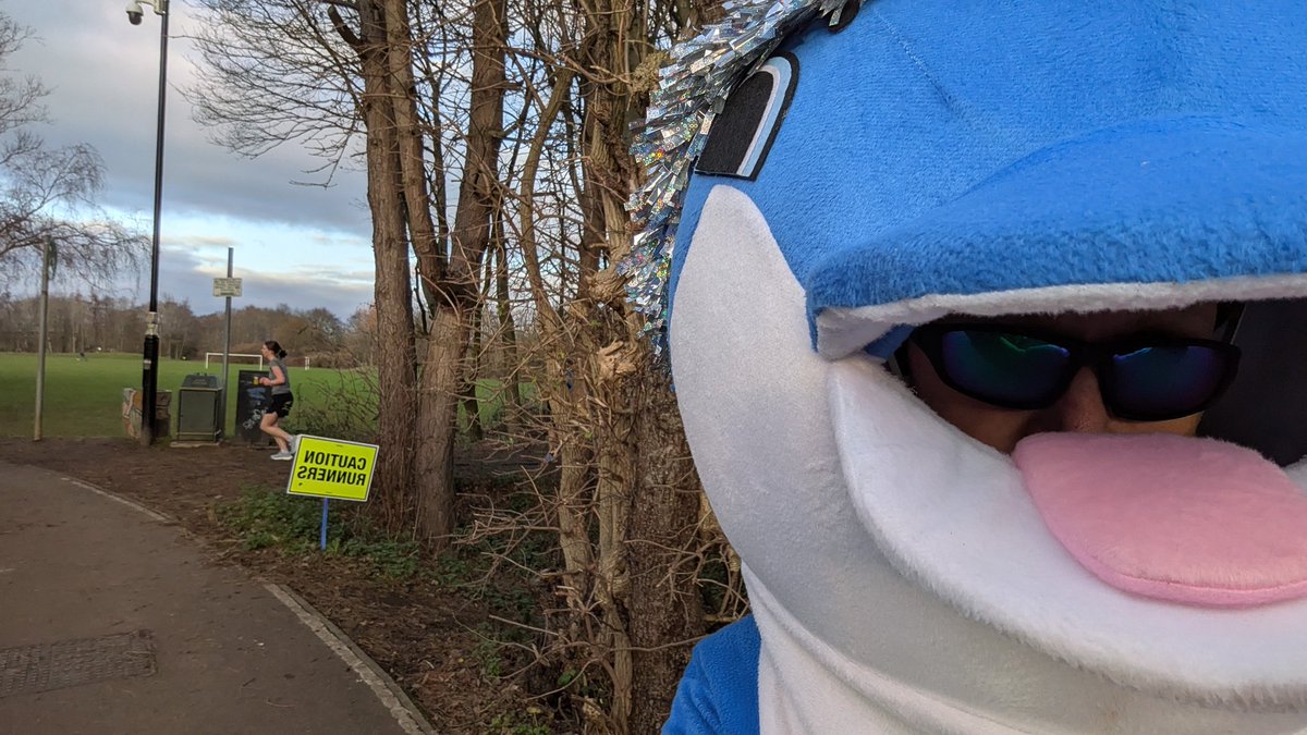 Dolphin.Runner tweet media