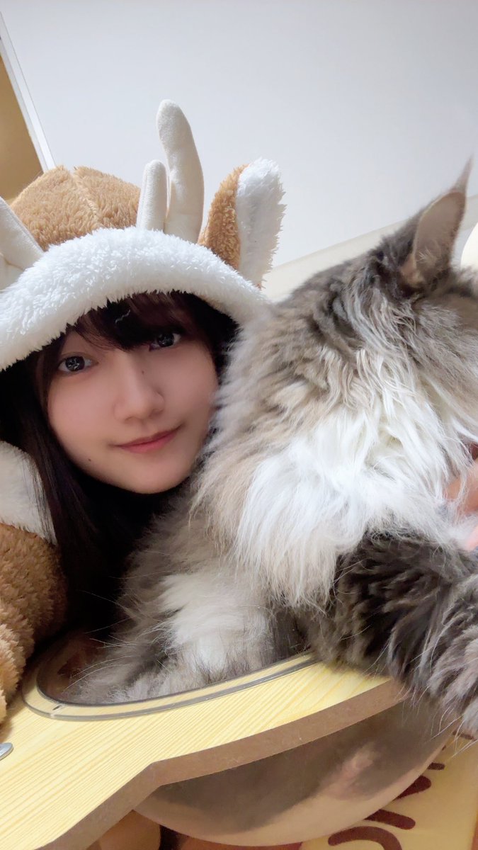 夏海@なつみん🐬 (@natsumin_0809) / Posts / X