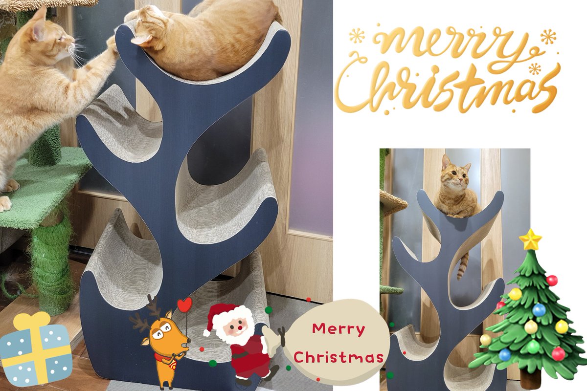 ⭐️N.T⭐️・:*さまお取り置き☆クリスマスセール☆ ねこちゃん5点セット ⭐️N.T⭐️・:*さまお取り置き☆クリスマスセール☆ ねこちゃん5点セット